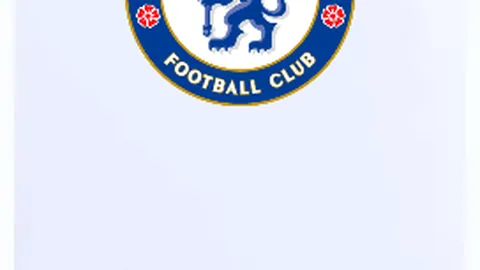 库库雷利亚制胜一击：切尔西打破比分胶着